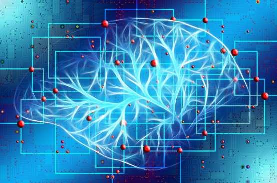 Le cerveau modifié par la pensée